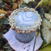 Latté bleu